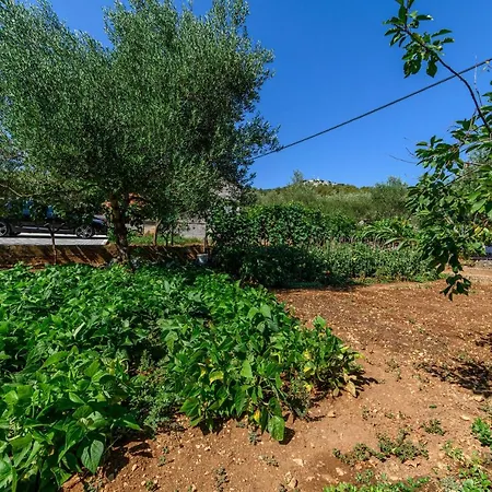 Ante Apartman