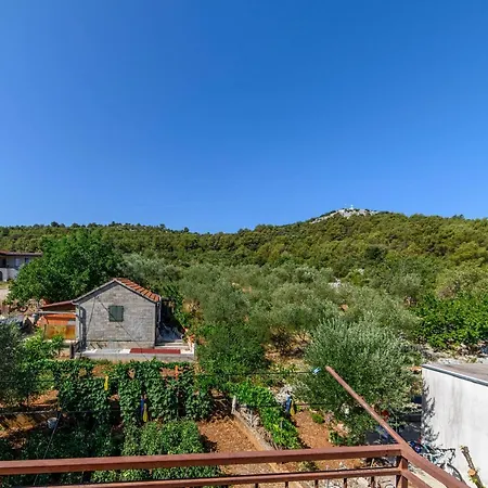 Apartman Ante